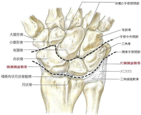 Tfcc損傷の合併症かも 徒然