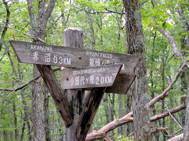 DSCN1043.jpg