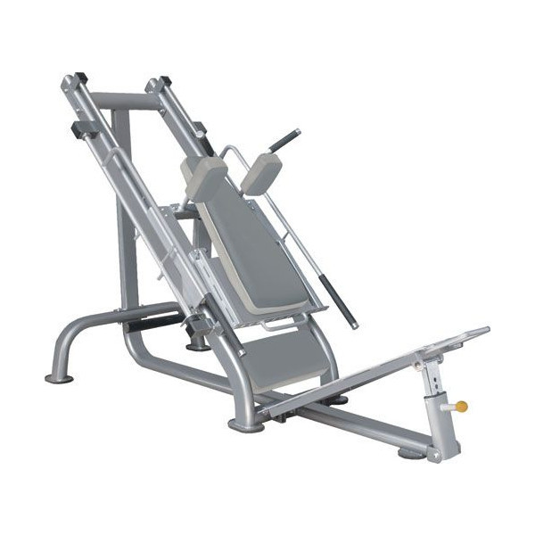 wildfit_sit7006.jpg